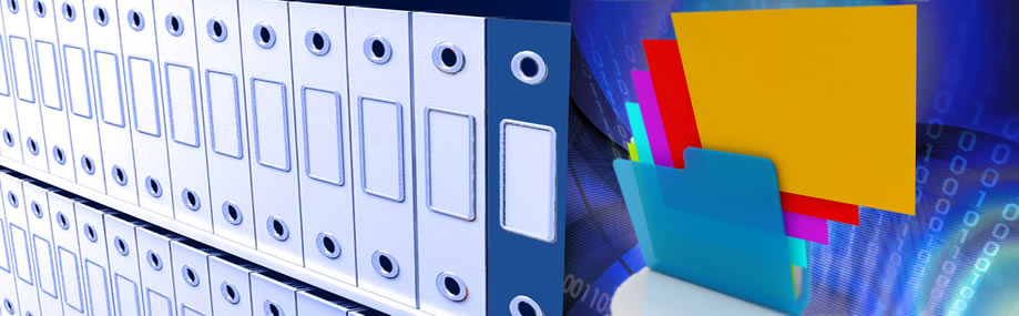 Digitisation of Public Accounting