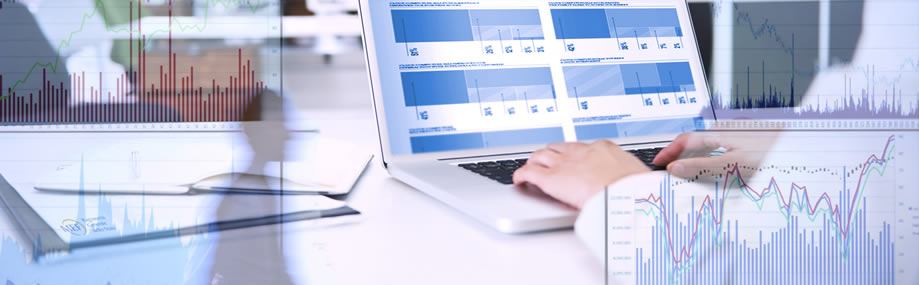 Vigilanza e controllo di finanza pubblica