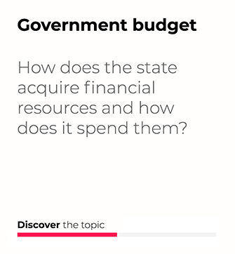 Government budget